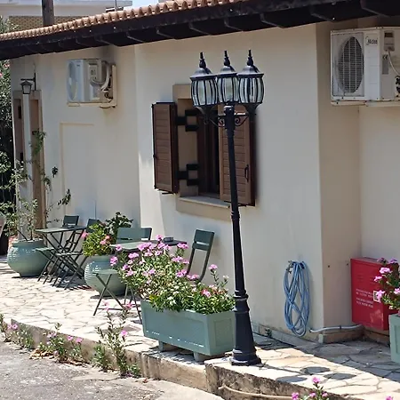 Bacchus Winter Archea Pissa